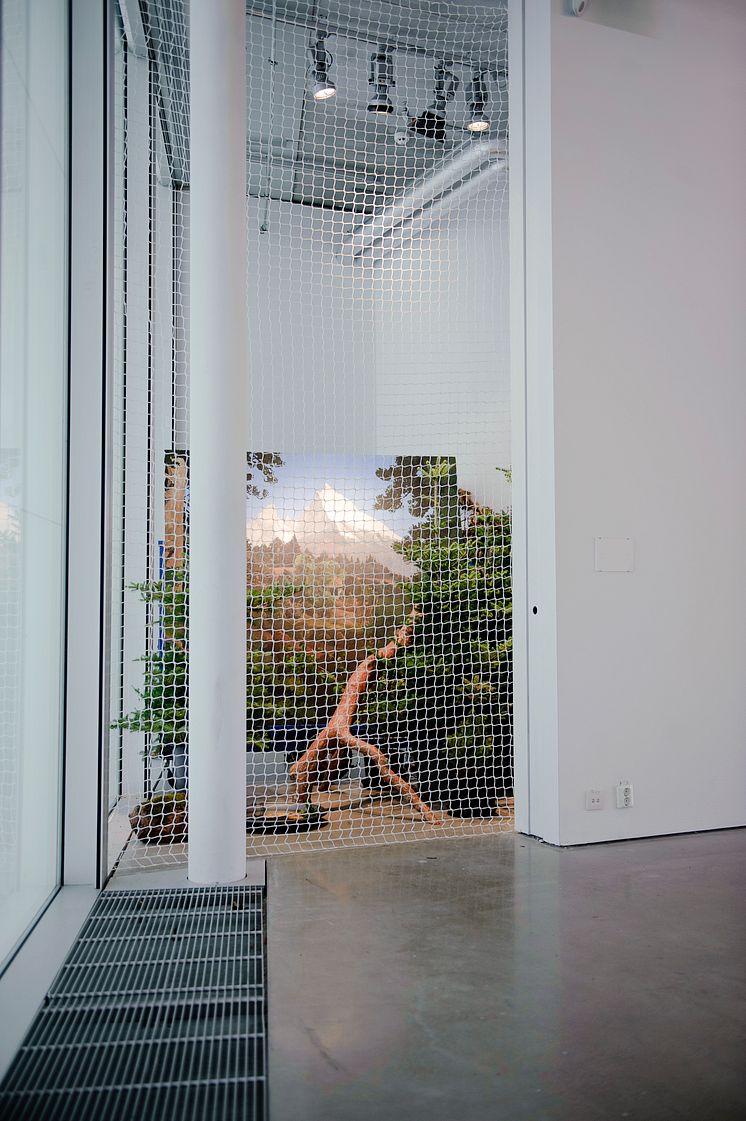 The Spiral and the Square, Rodrigo Matheus, The Landscape, 2011