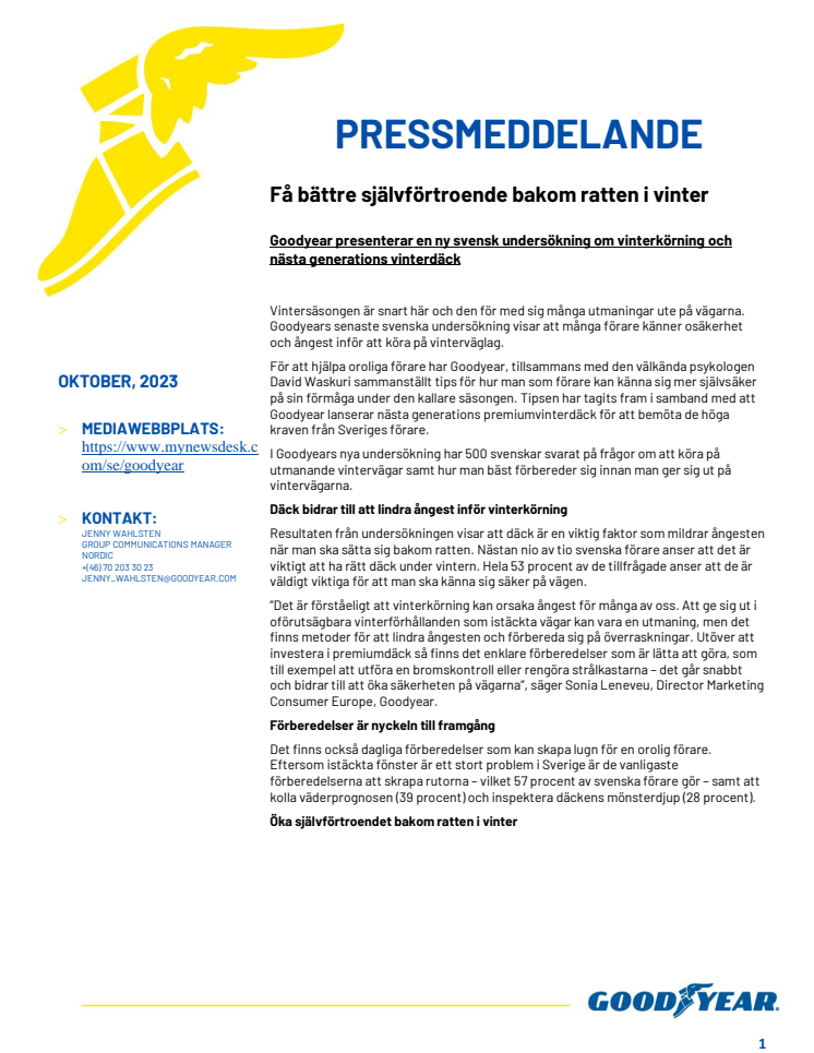 SE_Press Release Lokal.pdf