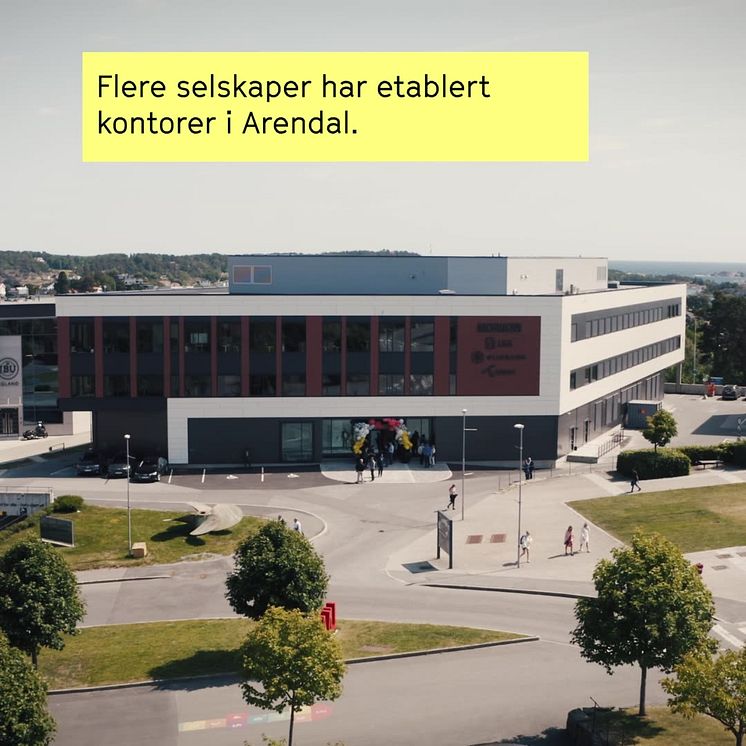 Ringvirkninger_-_Norsk.mp4