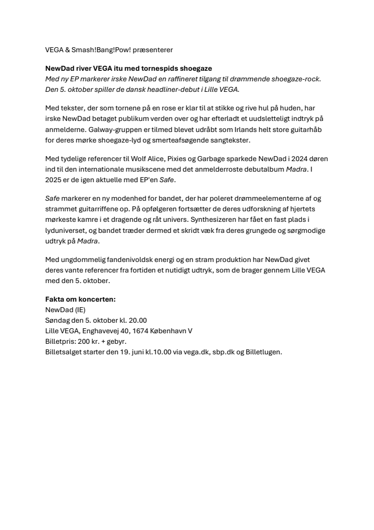 NewDad_VEGA_2025_PM.pdf