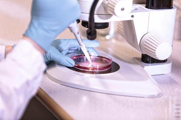 Barndiabetesfonden_Joey_Börjesson_Lab_342_II