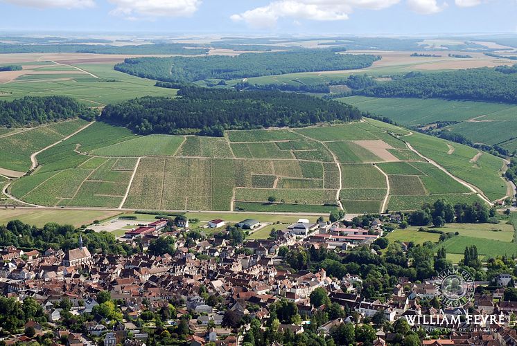 Chablis GC Les Clos + Village L.jpg
