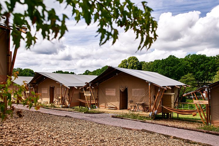 Wild Lodge tältstugor