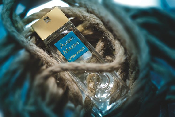 Ambre Marine_2.jpg