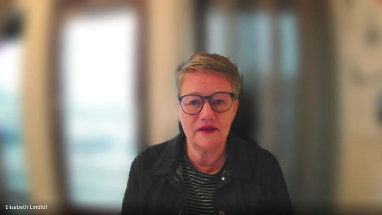 Kort summering av intervju med Elizabeth Lindlöf, IKT-strateg Mjölby kommun VT2023