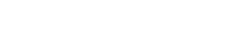 Auctionet Primary Logotype