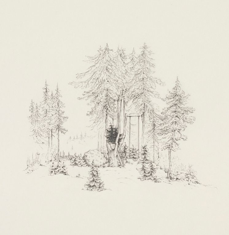 Ann Böttcher_Trädgårdsgungan Forsmarks bruk_2003-2021_29 x 42 cm.jpg