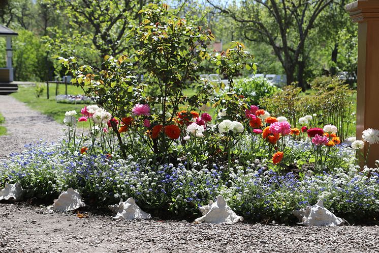 genre-krusenstiernska-blommor