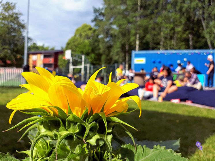 Sommaraktiviteter Vidingehem