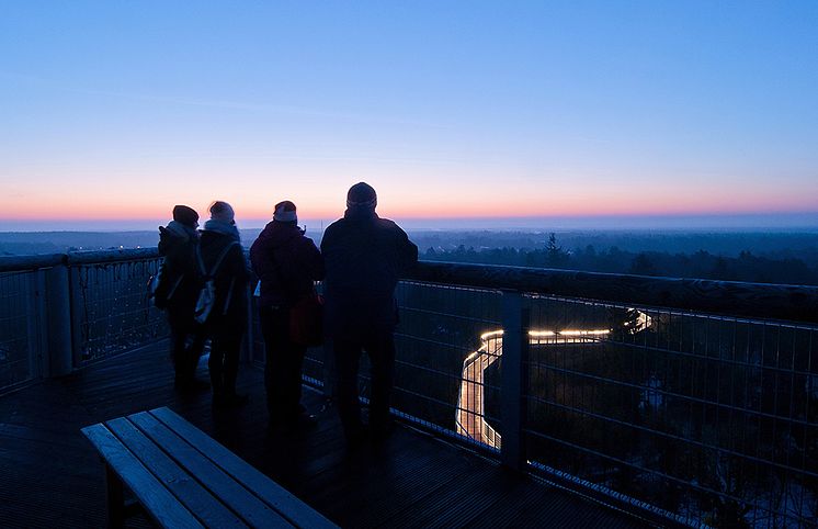 ©Baum&Zeit_Winterliche_Abendstimmung.jpg