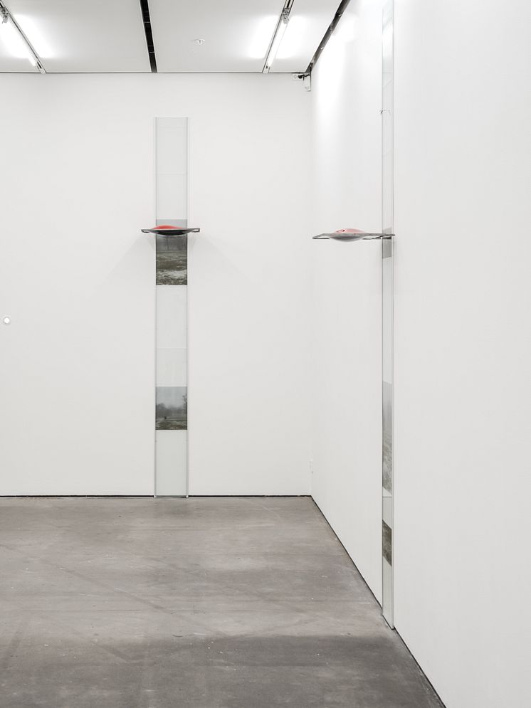 Ksenia Pedan, installationsvy Forming the Culture of a Dormant Brain, Bonniers Konsthall, 2024