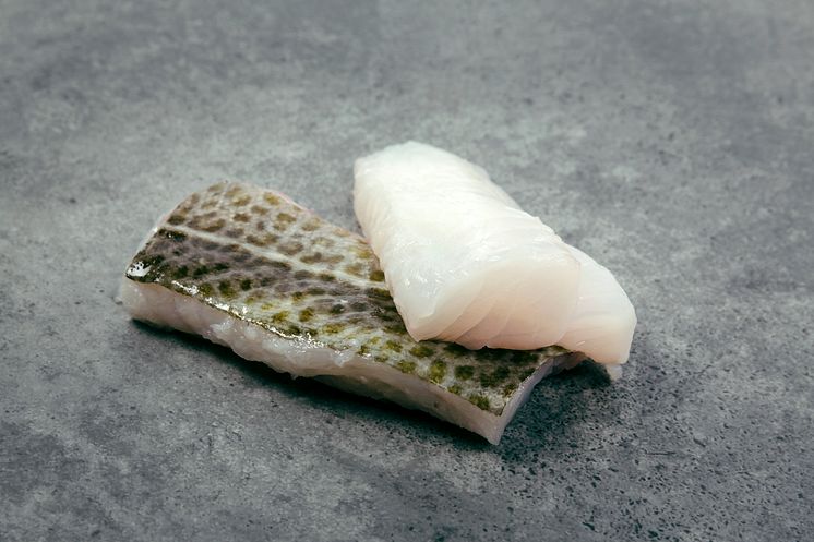 NSC_Whitefish_02