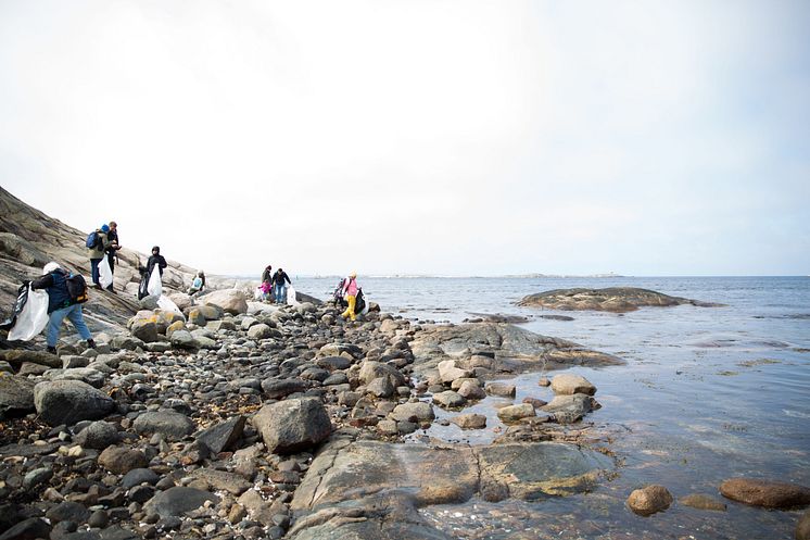 Skräpplockning längs bohuskusten