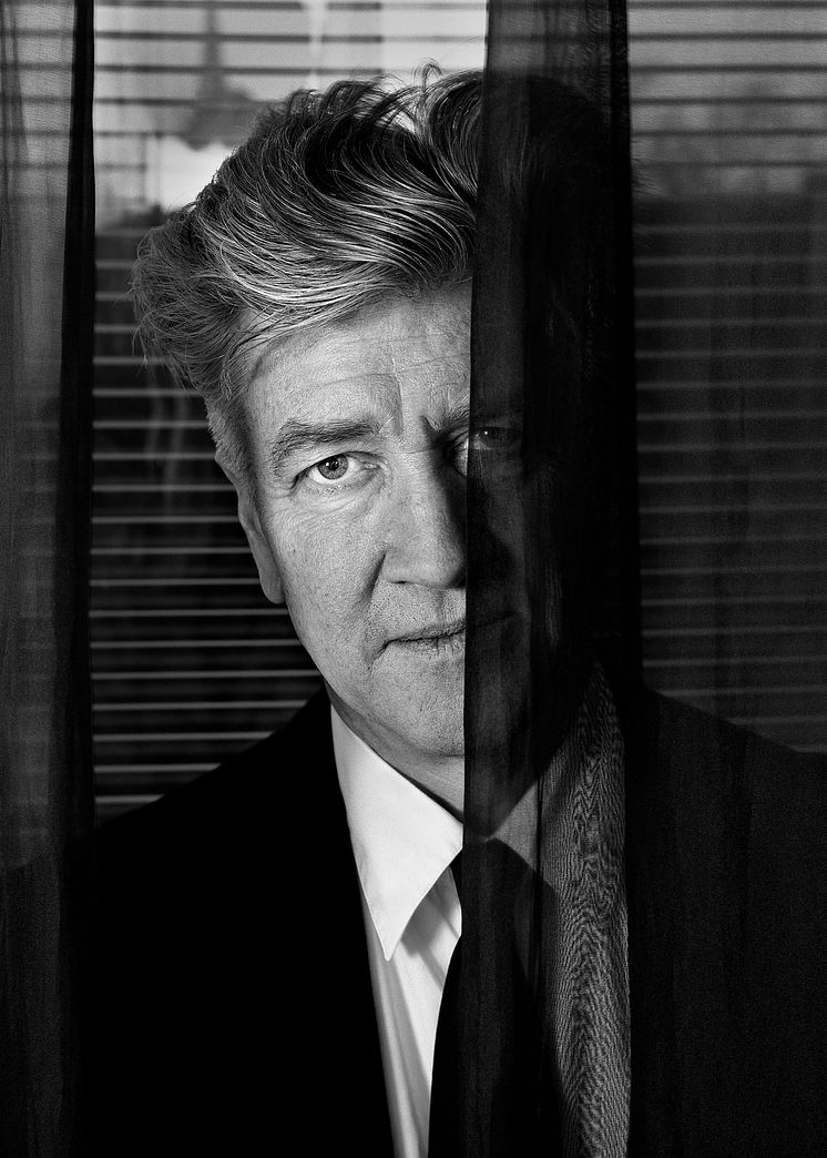 Lynch av Johan Bergmark 2.jpg