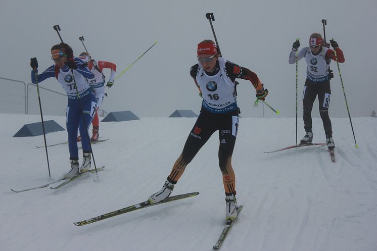 Kollen 