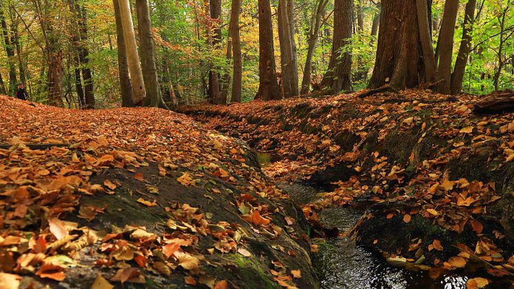 231107 Natur entdecken KVHS - 1600