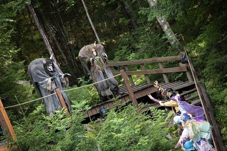 magisk kamp mellan älvor och troll i Trollrike