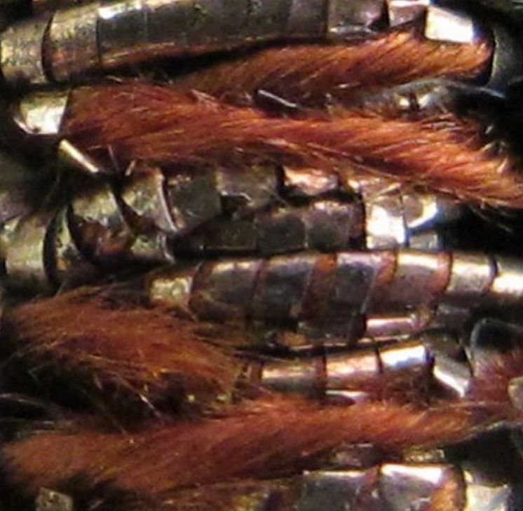 hanna-norrna-1.jpg