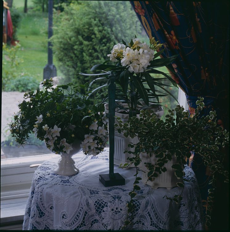 50-årsjubileum LRF010080