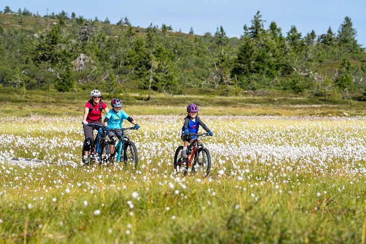 Helårs flyplass er gode nyheter for Trysil
