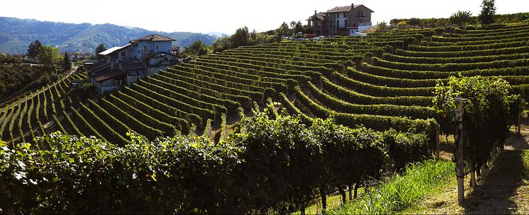 Vigna Prapò.jpg