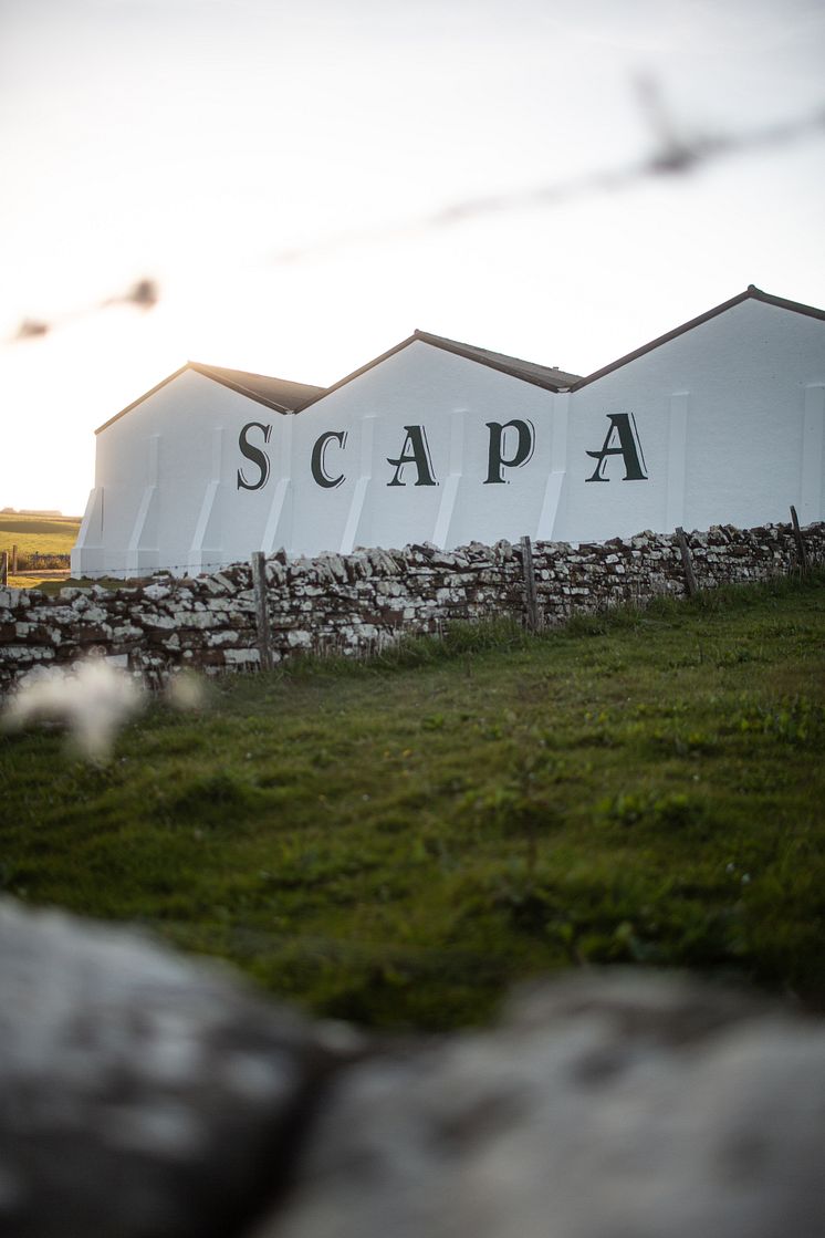 Scapa wall sun.jpg