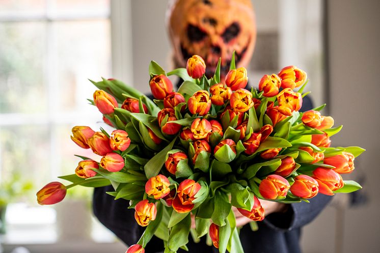 Tulpaner till Halloween