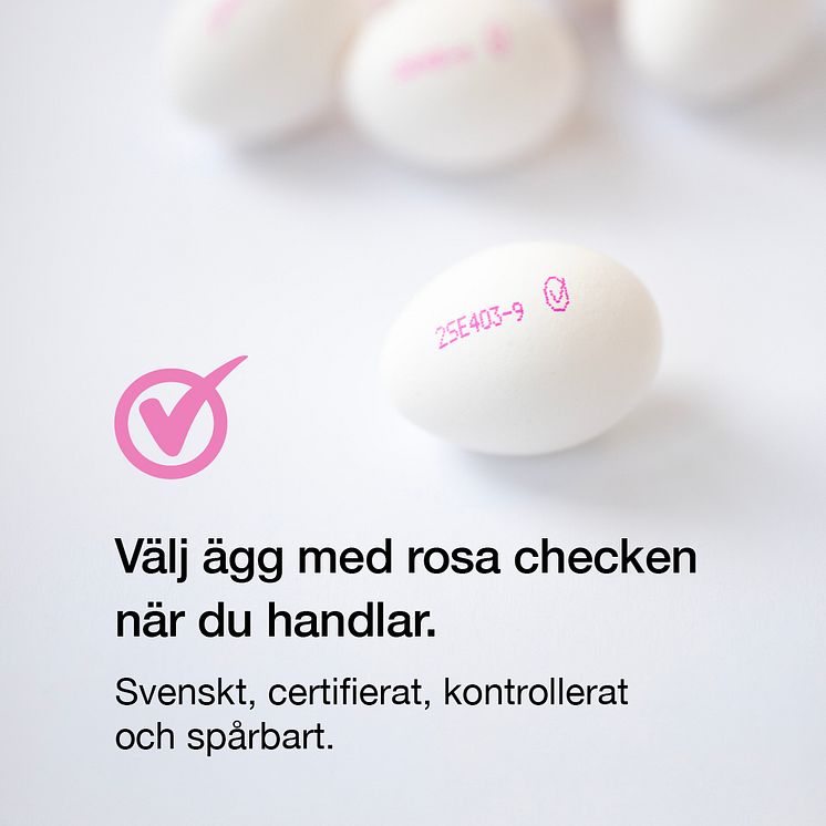 Bilder m text 1.1.4.jpg