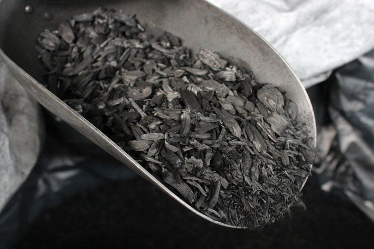Pflanzenkohle Biochar
