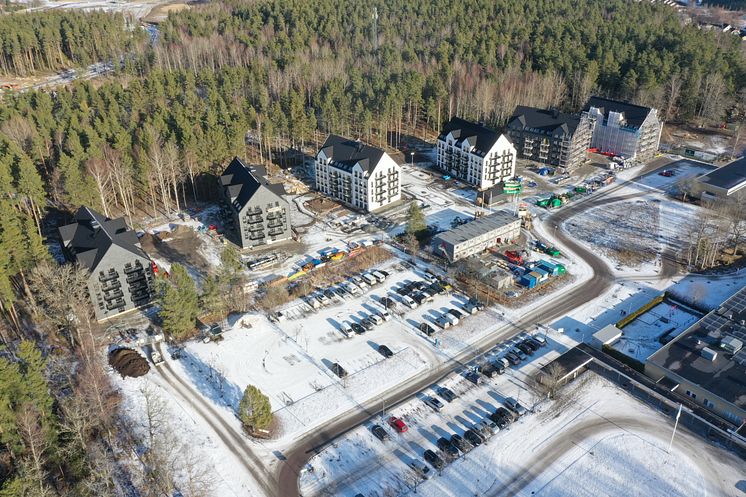 DJI_0291
