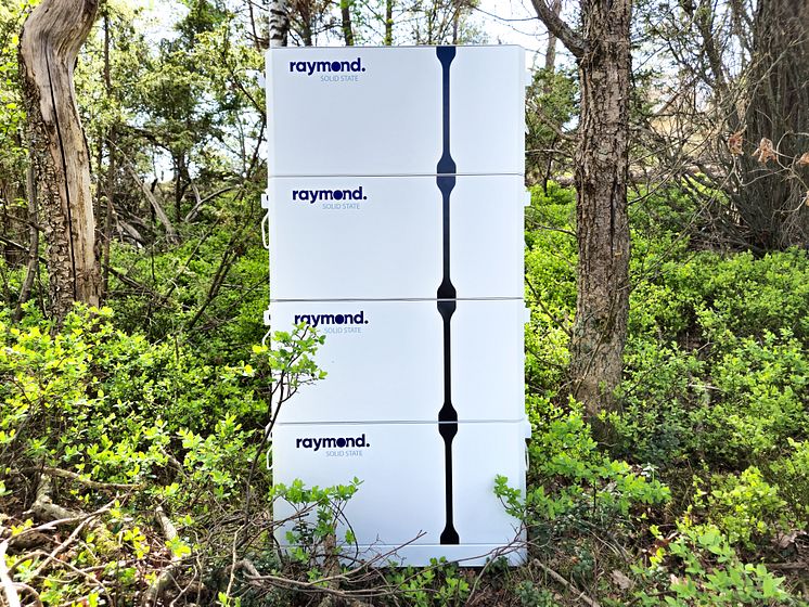Raymond Solid State