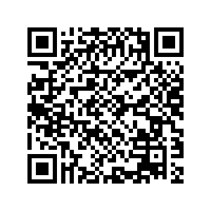 QR-Code Anmeldung Austrian New Adult Abend
