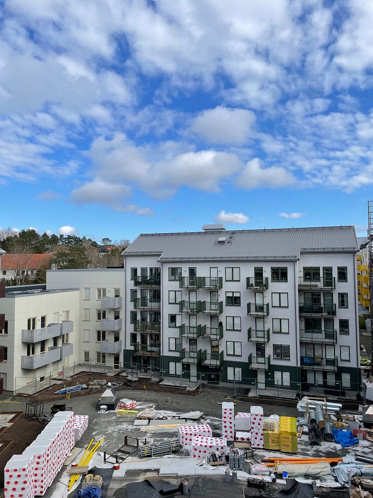 Hovås 2