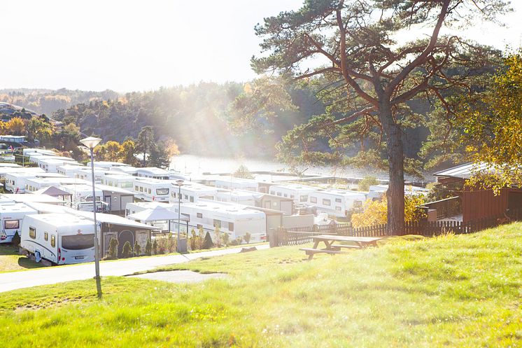 dafto-campingomrade-soderviken