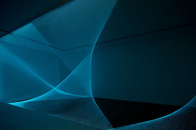 Tamar Frank, Interlaced