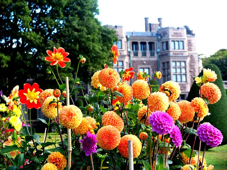 Många besökare när sommaren på Tjolöholms Slott summeras