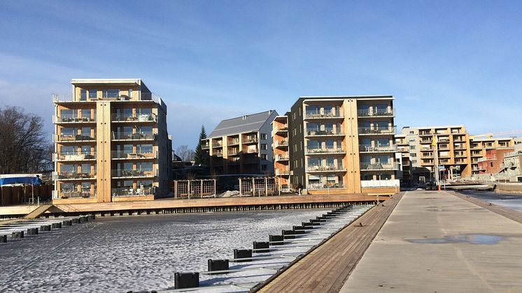 190226 Kanikenäsholmen (Hög)