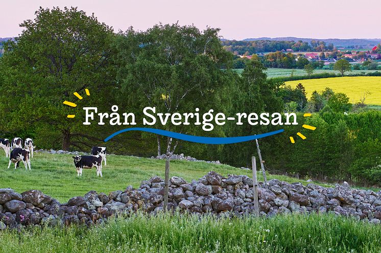 Från Sverige-resan i Land 2021