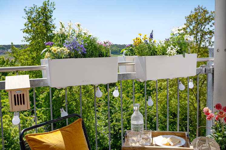 Bienenfreundlicher Balkon