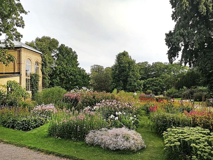 Botaniska trädgården