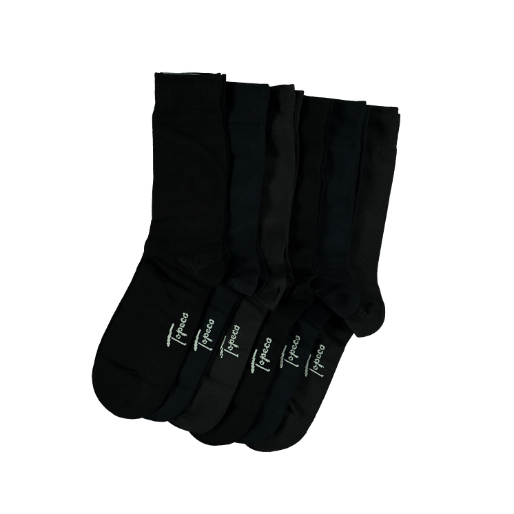3198-115 plant_Front_Png.png