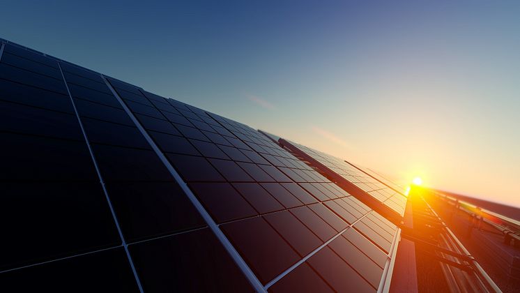 Solceller i morgonljus