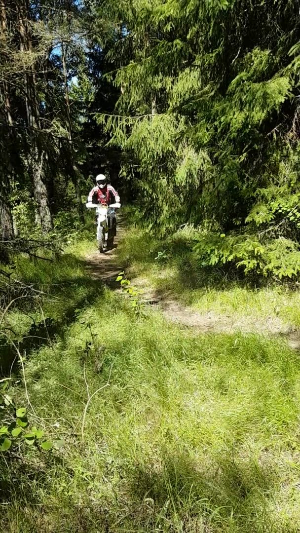 Skogskörning
