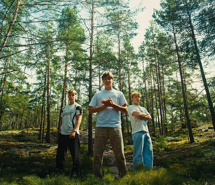 Fjellrev
