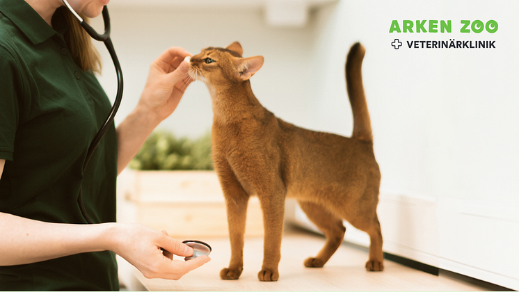 Arken Zoo PRessrelease 1280x720 – 1.png