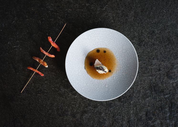 Eat The Landscape Johnny Trasti dish Alta Norway