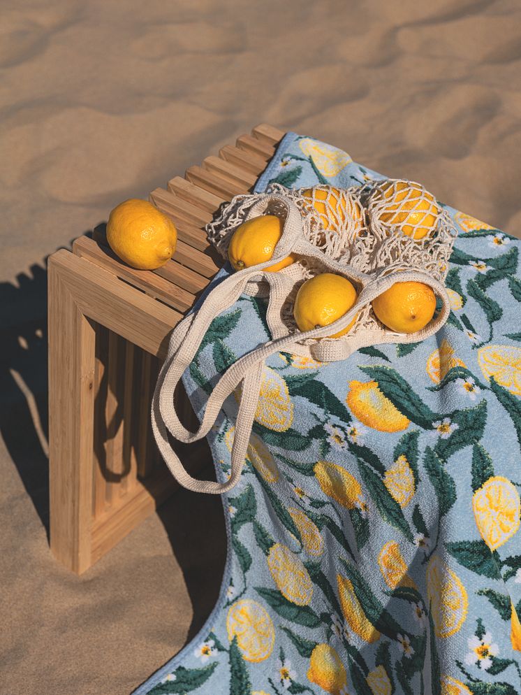 lemons_and_leaves_stillife_zitronen_2_m.jpg