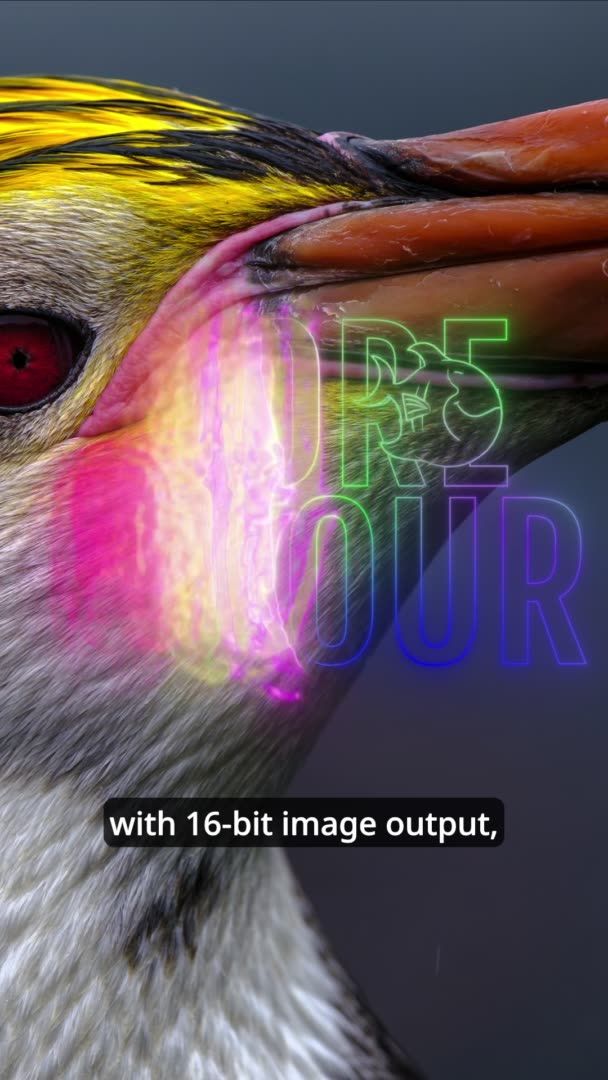 FUJIFILM GFX | More than Full Frame | More Dynamic Colour