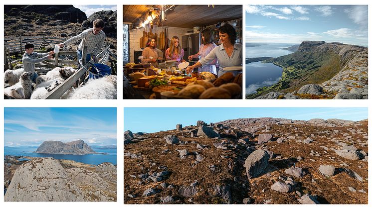 Collage from the Fjordkystpark.jpg