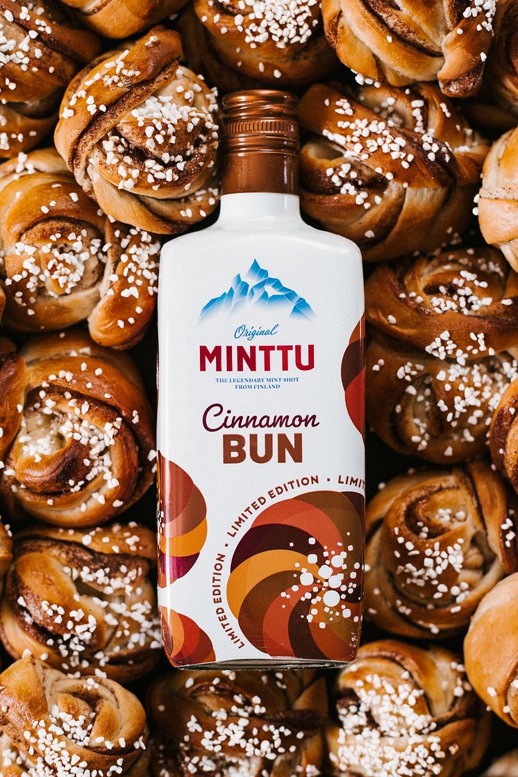 Minttu_CinnamonBun_Alma Bengtsson(1).jpg
